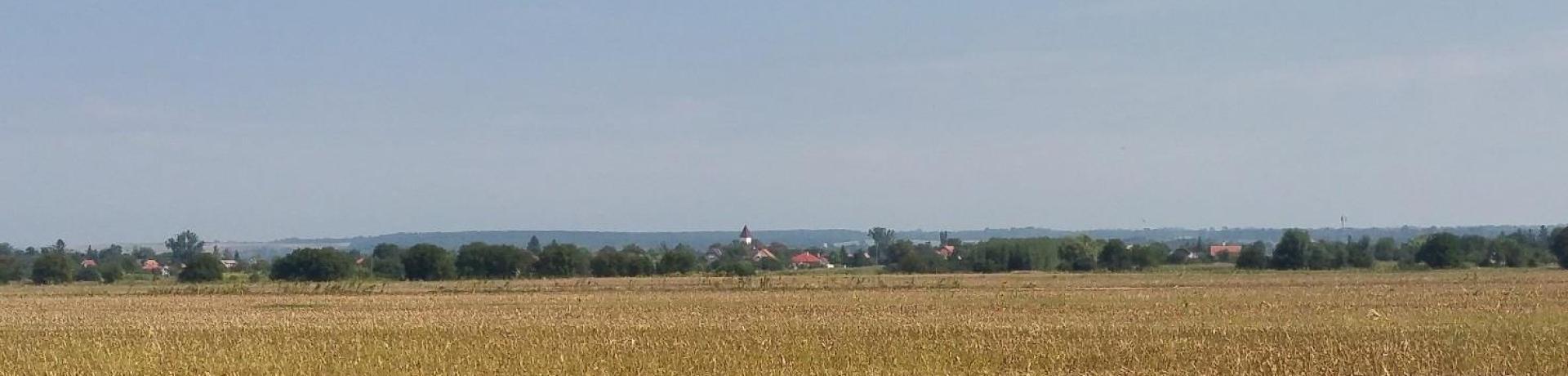 Moha története